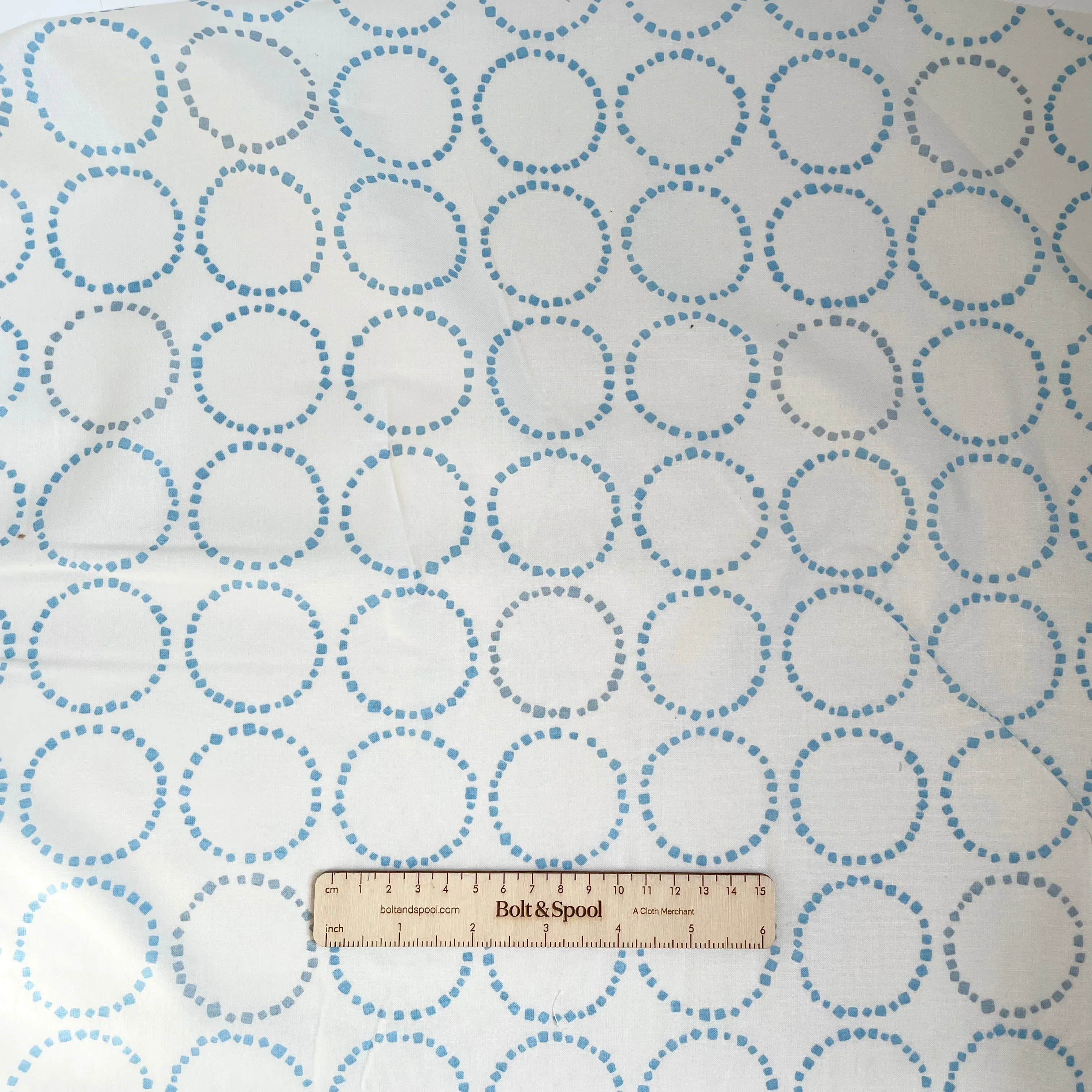 Koizumi Dotted Circles - Blue on White